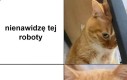 Maszyny wrzutowe czekają