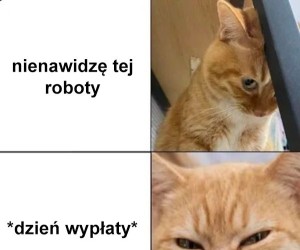 Maszyny wrzutowe czekają