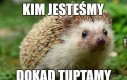 Oto jest pytanie