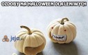 Ozdoby na Halloween dla leniwych