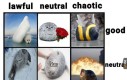 Ja jestem neutral neutral
