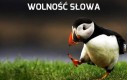 Wolność słowa