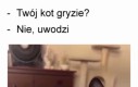Czaruś