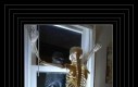 Wracam z praktyk z narodową orkiestrą dentą 