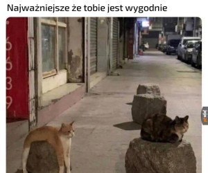 Nie oceniam