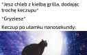 Domowy sposób na broszkę do ubrań
