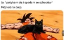 *mruczy*