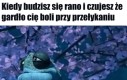 Przeziębienie welcome to