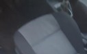 Volkswagen, das Auto