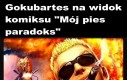 Ku**a za długie
