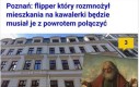 Biedny :(