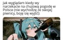 Pamiętaj żeby żyć
