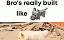 Doggo