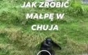 Sam tytuł mnie bawi xd
