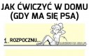Jak ćwiczyć w domu, gdy ma się psa...