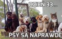 Dzień 33...