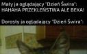 Dzień Świra