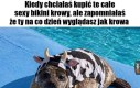 Tłuszczyk się wylewa