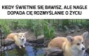 Ale w zasadzie... po co ja się bawię?