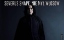 Severus Snape, nie mył włosów...