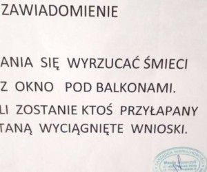 O nie, tylko nie wnioski!