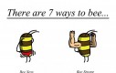 How to bee