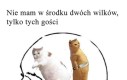 Dylematy nieco innego rodzaju