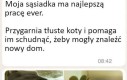 Dobra robota