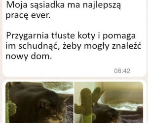 Dobra robota
