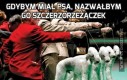 Gdybym miał psa, nazwałbym go szczerzorzeżączek