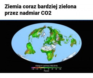 Każdy jest trochę ekologiem