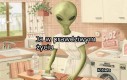 Może to być dla was szokiem, ale tak naprawdę nie jestem gołębiem