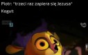 Mort kogut