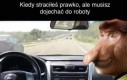 No przecież urlopu mi nie dadzą