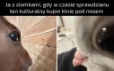 Mamy przejejane