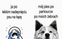 Uczciwie