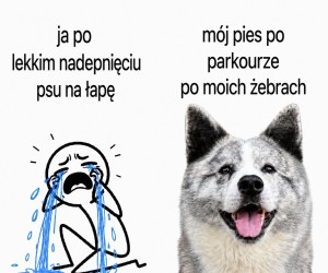 Uczciwie