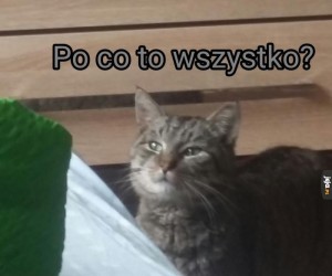 Ta Fryzura Coś Mi Przypomina Jejapl