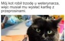 Sorka, co złego to nie ja