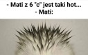 Smoku, jesteś piękny