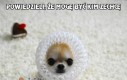 Powiedzieli, że mogę być kim zechcę