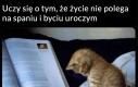 Nie mogę uwierzyć w to co czytam