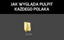 Ład i porządek
