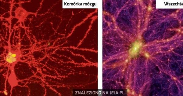 seksowne zdjęcia dziewczyny nago