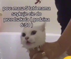Matka mnie znalazła w betoniarce z zaschniętym cementem