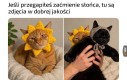 Zaćmienie