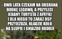 Chory ekosystem