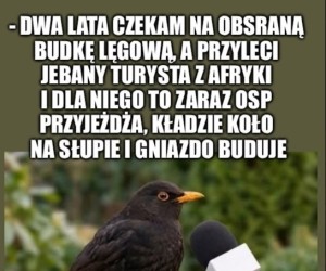 Chory ekosystem