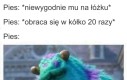 Od razu lepiej