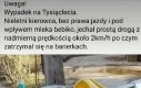 Potworny wypadek
